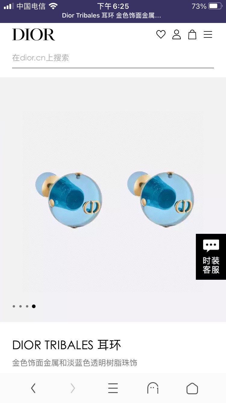 Christian Dior Earrings